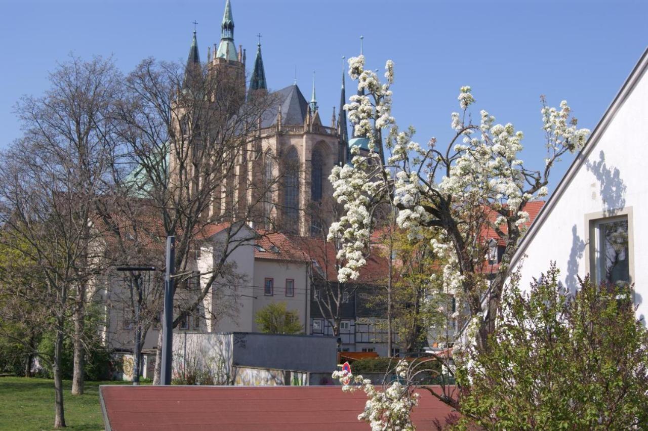 Hotelpension Am Dom แอร์ฟวร์ท ภายนอก รูปภาพ